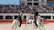 Feria d'Alès : adieu émouvant au toro Albigeois, 13 ans d'arène