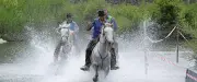 Feria d'Alès : Cédric Vidal remporte la Course gardonnenque pour la sixième fois