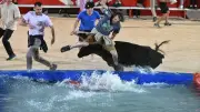 Feria d'Alès : messe sévillane, toro piscine et Peña Del Fuego ce dimanche