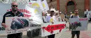 Feria de Béziers : les anti-corrida autorisés à manifester, Ménard appelle au calme
