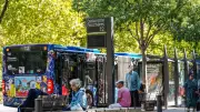Feria de Nîmes 2026 : bilan très positif pour la gratuité des transports