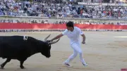 Feria de Nîmes 2026 : Cadenas éblouit, Merlot ovationné