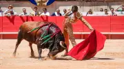 Feria de Nîmes 2026 : la corrida française triomphe sous le soleil