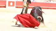 Feria de Nîmes : Clovis remporte la 65e Cape d’Or