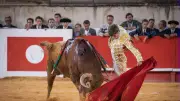 Feria de Pentecôte à Nîmes : suivez la première corrida en direct