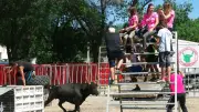 Feria de Pentecôte à Saint-Jean-de-Védas : programme taurin et festif