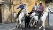 Feria de printemps à Tresques : trois jours de fête et de traditions