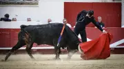 Feria Off de Béziers : Olsina et El Rafo qualifiés pour la finale