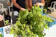 Ferme coopérative bio pour écoles à Cagnes-sur-Mer