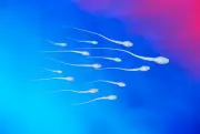 Fertilité masculine : des idées reçues sur les fausses couches