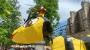 Fest’Abeille à Cessenon : une journée festive le 6 juin