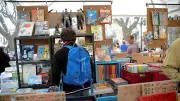 Festival de BD à Sérignan : 31e édition avec Tebo et 32 auteurs