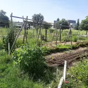 Festival Refuge : agro-naturalisme et solidarité étudiante à Pessac