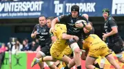 Finale MHR-Ulster : le premier grand défi de ce Montpellier-là