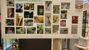 Fl'aune#3 : concours photo amateur sur les p'tites bêtes à Roquemaure
