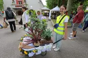 Floralies de Garein 2026 : passion jardin et convivialité au rendez-vous