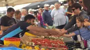 Foire de Portes : rendez-vous incontournable du 1er mai dans les Cévennes