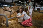 Foire internationale de Bordeaux : karaoké, gastronomie, et bien plus