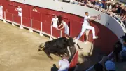 Féria de Palavas : la course camarguaise, tradition et spectacle au rendez-vous