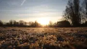 Froid : températures proches de 0°C mardi matin en Île-de-France, risque de gelée