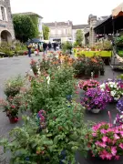 Fête aux fleurs de Monségur : rendez-vous le 8 mai place des Tilleuls