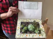 Fête de la nature : atelier livre-plante à la médiathèque de Saint-Jean-d'Angély