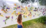 Fête de la Nature : ateliers et découvertes le 24 mai