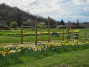 Fête de la nature à Sainte-Florence : programme du 30 mai