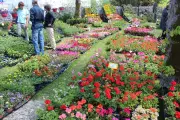 Fête des fleurs d'Arces-sur-Gironde : 34e édition du 23 au 25 mai