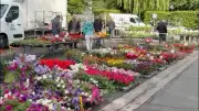 Fête des fleurs à Fraïsse-sur-Agoût : une édition ensoleillée et conviviale