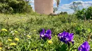 Fête des Ressources locales le 23 mai à Cabrières