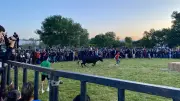 Fête votive à Saint-Hilaire-de-Brethmas : traditions et animations du 7 au 10 mai