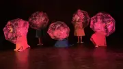 Gala de danse Acorps : un voyage enchanté au pays de l'enfance