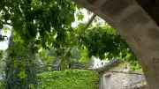Gal'art : 700 visiteurs pour la 8e édition à Galargues