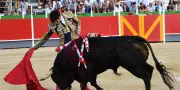 Gironde : la justice suspend une corrida, la tradition taurine en question