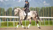 Grand Steeple-Chase 2026 : la retraite paisible des champions hippiques