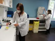Grève nationale dans les laboratoires médicaux : salaires et conditions dénoncés