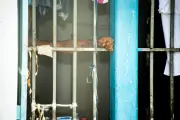 Guadeloupe : justice ordonne mesures d'urgence dans une prison surpeuplée