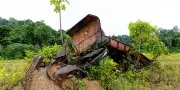 Guyane : la justice écarte un recours contre l'État pour carence dans la lutte contre l'orpaillage illégal