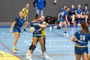Handball N2F : Mont-de-Marsan relégué après une dixième défaite consécutive