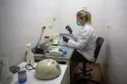 Hantavirus : 22 cas contacts hospitalisés, pas de symptômes
