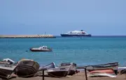 Hantavirus à bord d'un navire de croisière : trois morts et plusieurs cas suspects