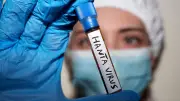 Hantavirus des Andes : un risque faible mais pas nul de variant