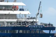 Hantavirus et croisières : les 4 questions qui m'obsèdent