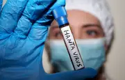 Hantavirus : intox et fausses théories refont surface