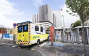 Hantavirus : la patiente toujours en réanimation, état stationnaire