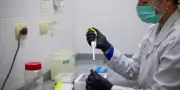 Hantavirus : l'OMS espère faire le point sur la mission à Ushuaia