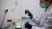 Hantavirus : six Britanniques en isolement, 22 Français hospitalisés sans symptômes