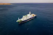 Hantavirus sur un bateau de croisière : deux cas confirmés, cinq suspectés