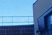 Hôpital de Grasse : une pie piégée sous un filet anti-pigeons depuis février